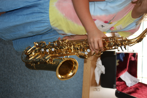 Die Welt der Musikinstrumente
