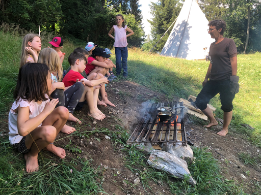 Heilpflanzen und essbare Wildkräuter