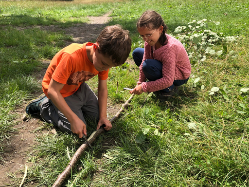 Heilpflanzen und essbare Wildkräuter