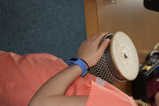 Die Welt der Musikinstrumente