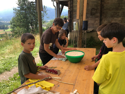 Heilpflanzen und essbare Wildkräuter