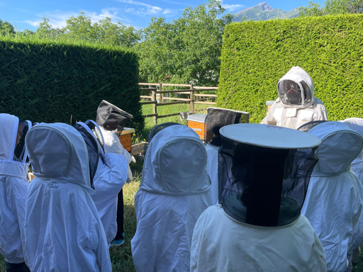 Erlebnismorgen bei den Bienen