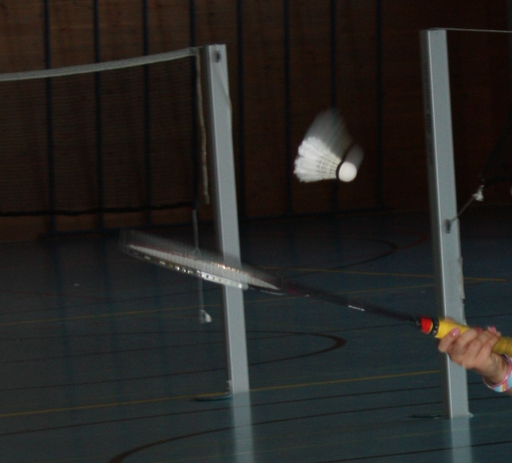 Badminton