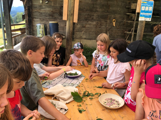 Heilpflanzen und essbare Wildkräuter