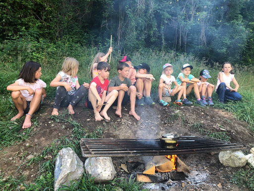 Heilpflanzen und essbare Wildkräuter