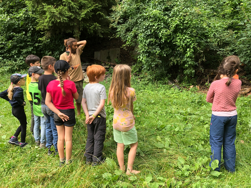 Heilpflanzen und essbare Wildkräuter